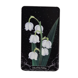 A Little Rain Oracle Deck