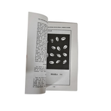 Los Caracoles Historia De Sus Letras