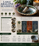 Large Abalone Seashell – Natural Smudging Shell for Sage, Palo Santo, Incense & Spiritual Cleansing