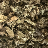 Authentic Patchouli Love Herb – Natural Spiritual Herb for Love, Attraction & Rituals
